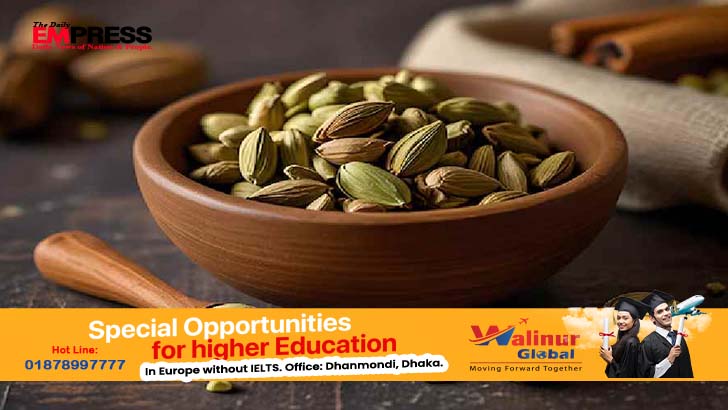 ক্যানসারের সঙ্গেও লড়তে সাহায্য করে ছোট এলাচ? আরও ৫ গুণের কথা জেনে নিন